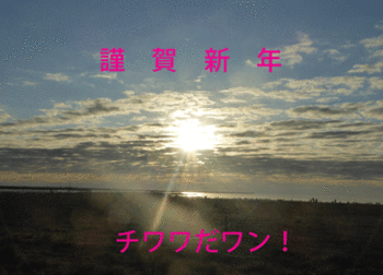 wan01688.gif